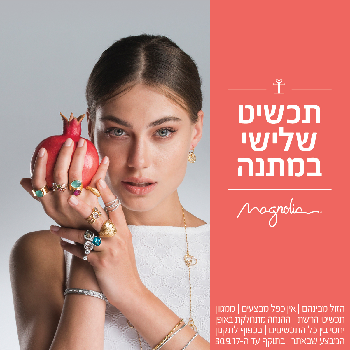 מגנוליה במבצע מדהים לקראת השנה החדשה!