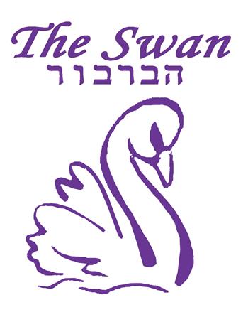 הברבור