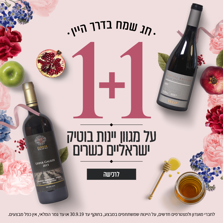 מבצע בדרך היין