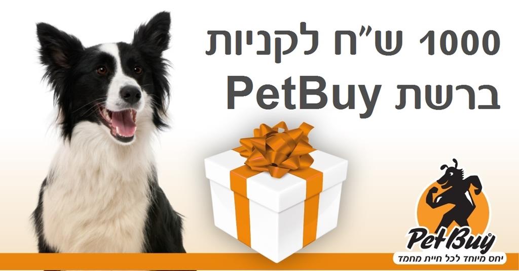 פט ביי
