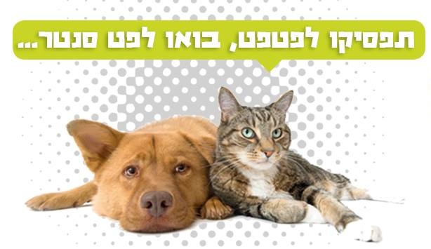 פט סנטר